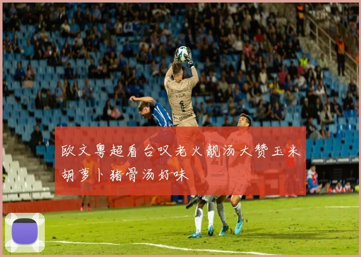 欧文粤超看台叹老火靓汤大赞玉米胡萝卜猪骨汤好味